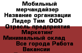 Мобильный мерчандайзер › Название организации ­ Лидер Тим, ООО › Отрасль предприятия ­ Маркетинг › Минимальный оклад ­ 22 500 - Все города Работа » Вакансии   . Приморский край,Уссурийский г. о. 